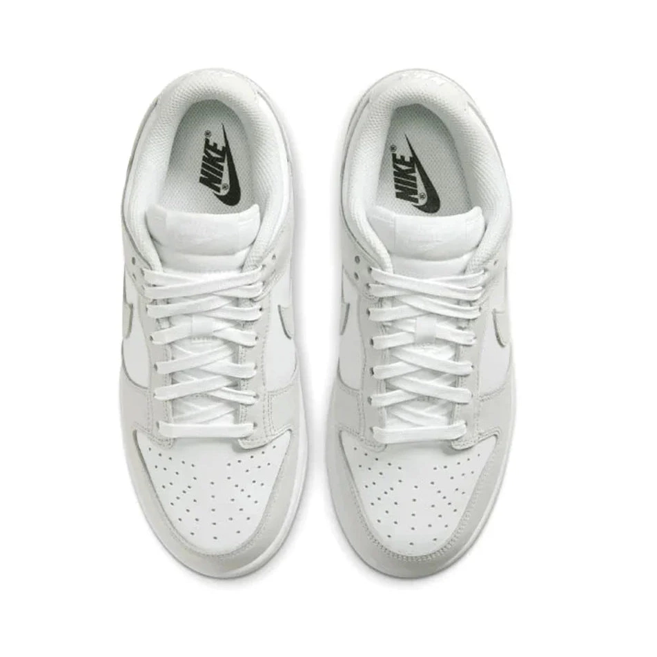 Dust W Dunk Nike Photon Low 0810